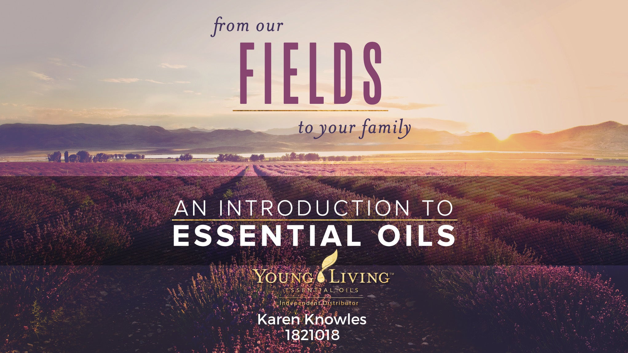 Young Living Starter Guide and Usage Ideas