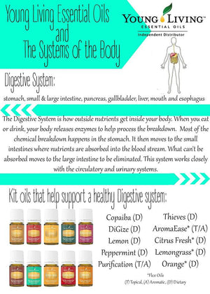 Which Young Living Essential Oils compliment Each Body System?