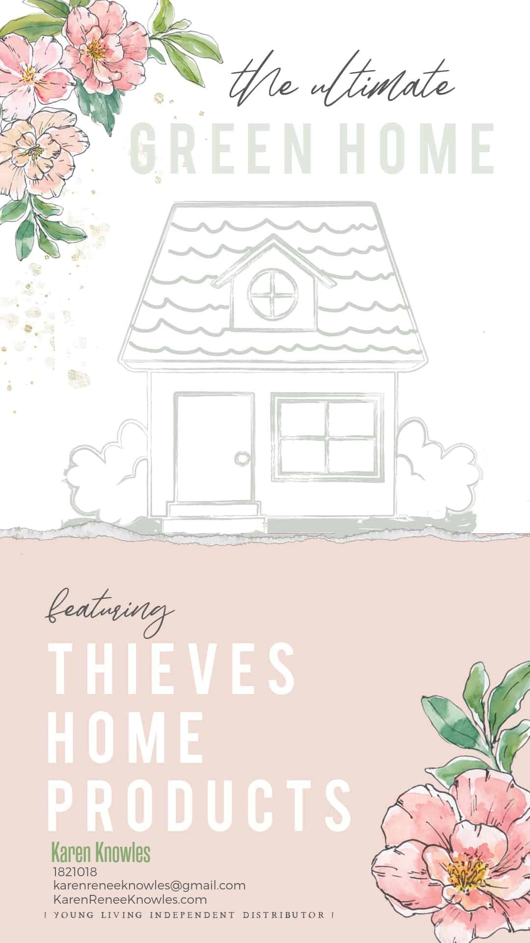 Green Home with Thieves